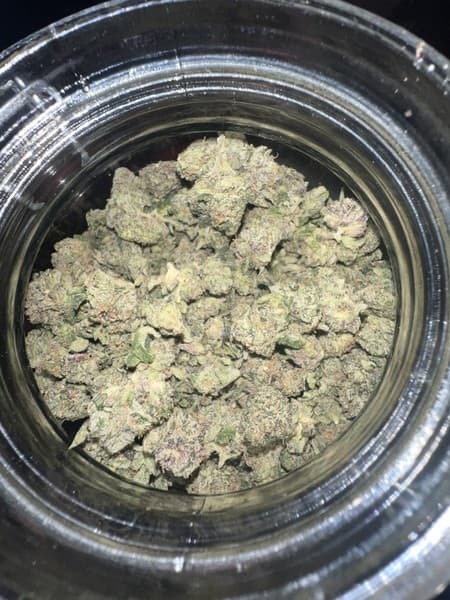 Gastro Pop cannabis strain, community photo 5