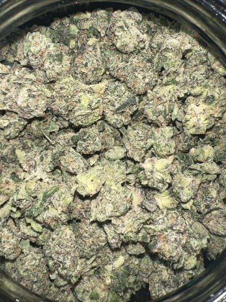Gastro Pop cannabis strain, community photo 6