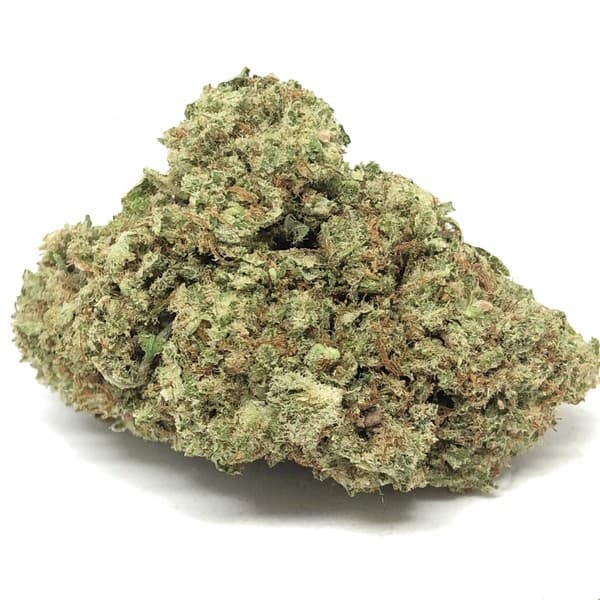 Gelato cannabis strain, community photo 1