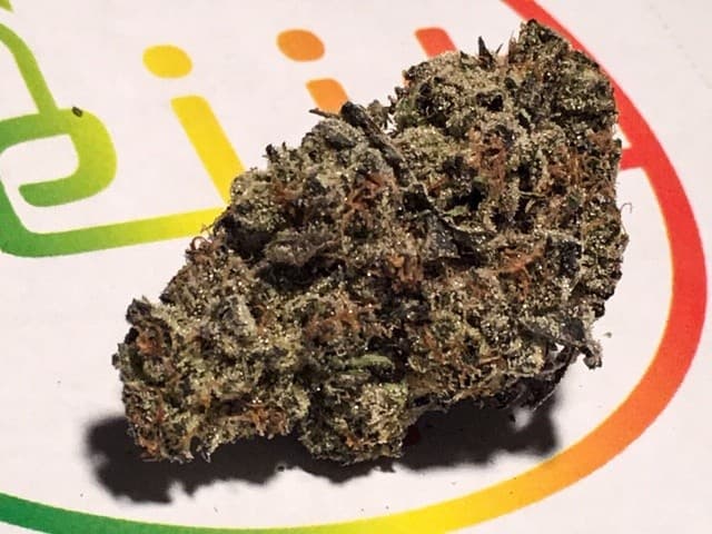 Gelato cannabis strain, community photo 10