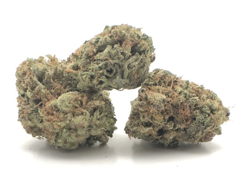 Gelato cannabis strain, community photo 12