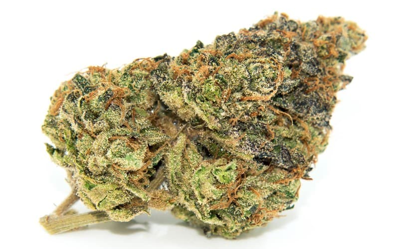 Gelato cannabis strain, community photo 3