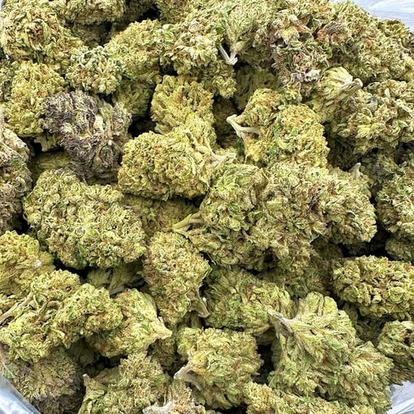 Gelato 41 cannabis strain, community photo 2