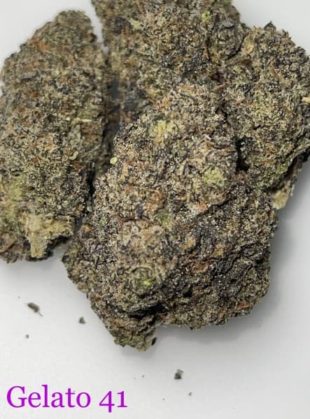 Gelato 41 cannabis strain, community photo 5