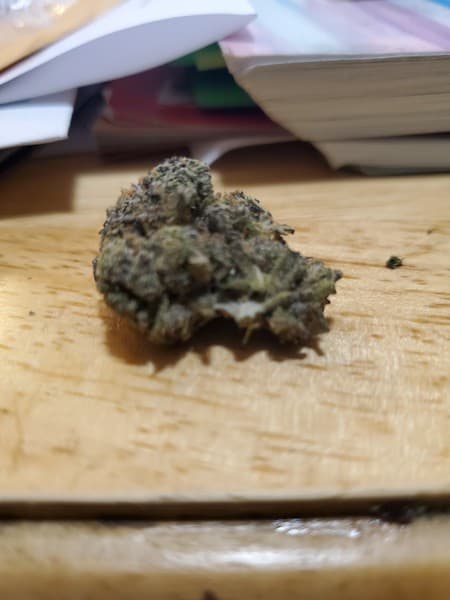 Gelato 45 cannabis strain, community photo 1