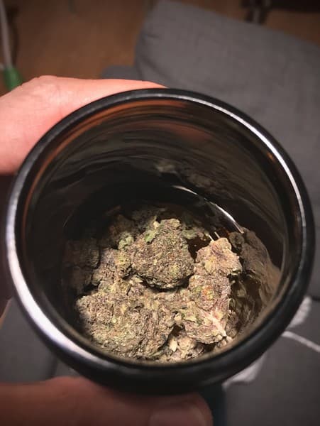 Gelato 45 cannabis strain, community photo 2