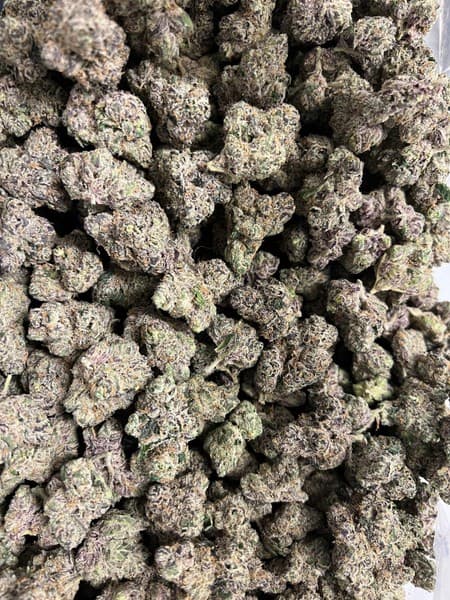 Gelato 45 cannabis strain, community photo 3