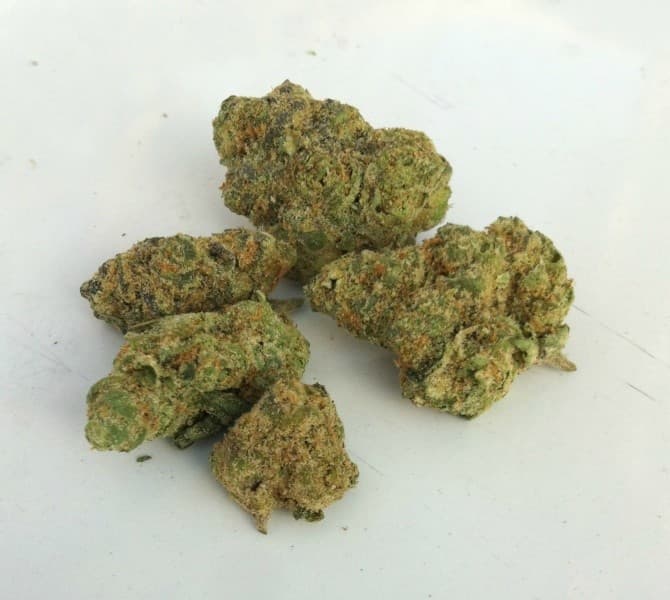 Gelato cannabis strain, community photo 5