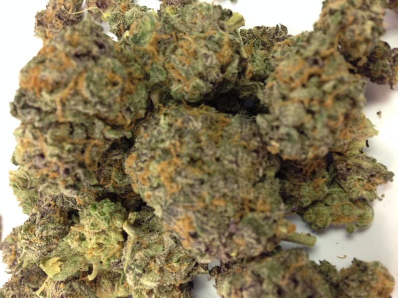 Gelato cannabis strain, community photo 6