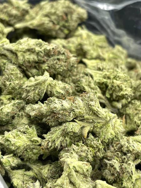 Gelato cannabis strain, community photo 7