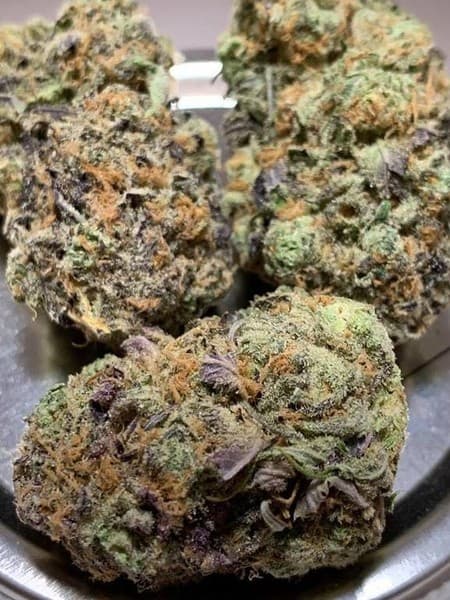 Gelato cannabis strain, community photo 9