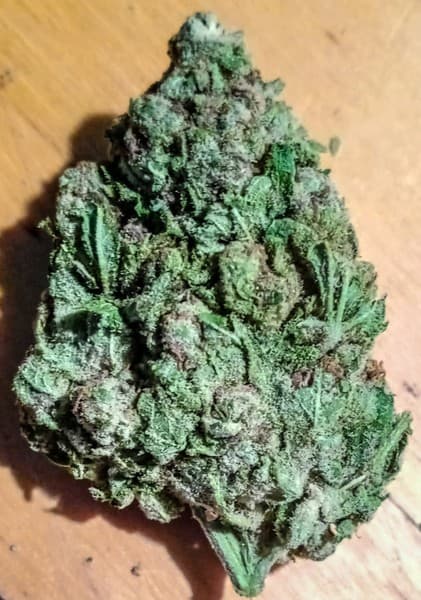Gelato Cake cannabis strain, community photo 3