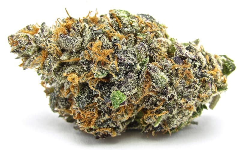 Gelatti cannabis strain, community photo 1