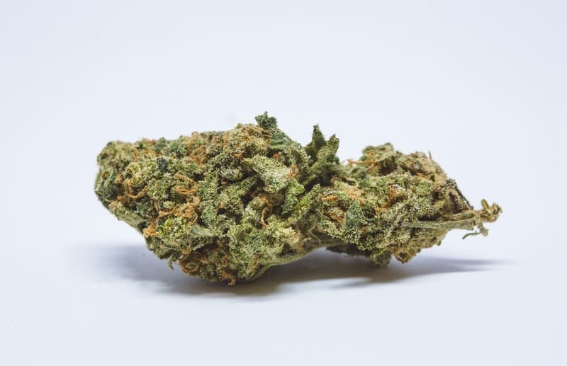 Gello cannabis strain, community photo 2