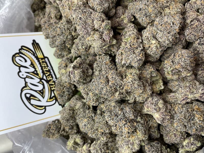 Georgia Pie cannabis strain, community photo 2