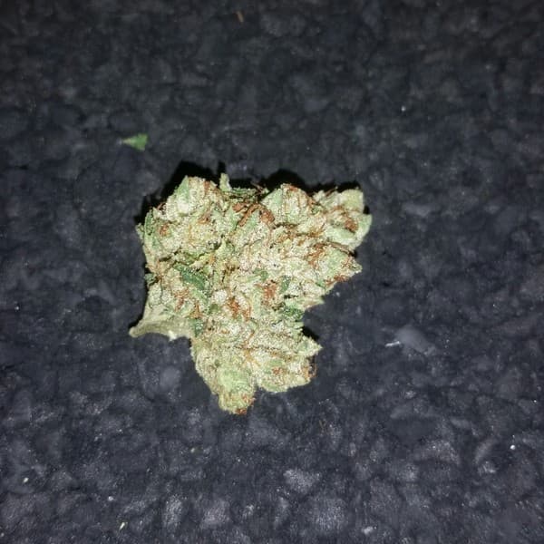 Ghost OG cannabis strain, community photo 2