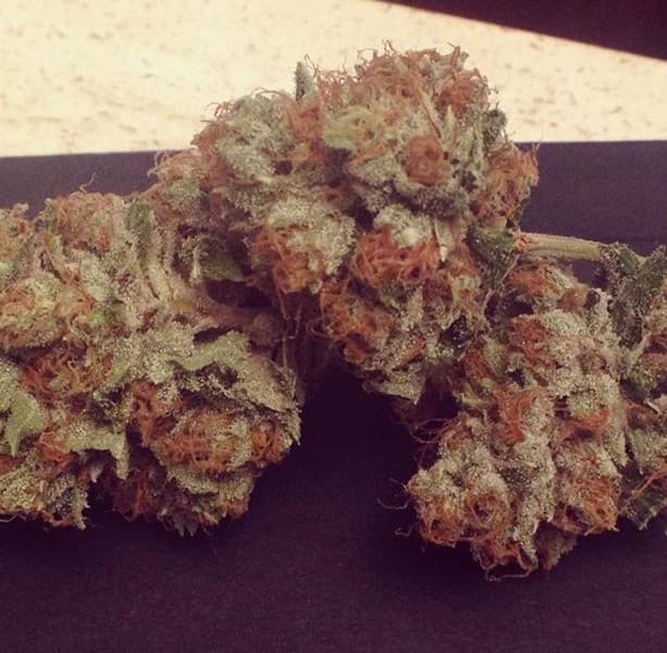 Ghost OG cannabis strain, community photo 3