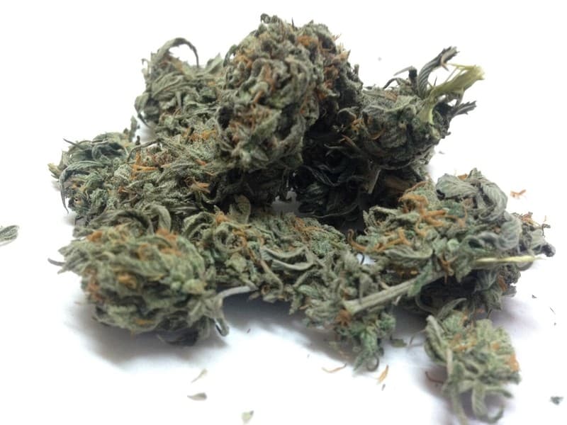 Ghost OG cannabis strain, community photo 4