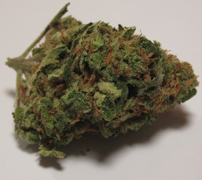 Ghost OG cannabis strain, community photo 5