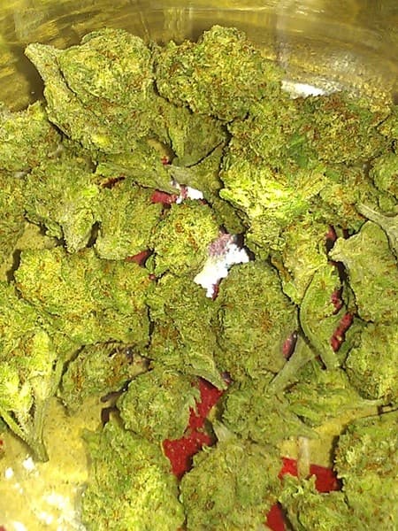 Ghost OG cannabis strain, community photo 7