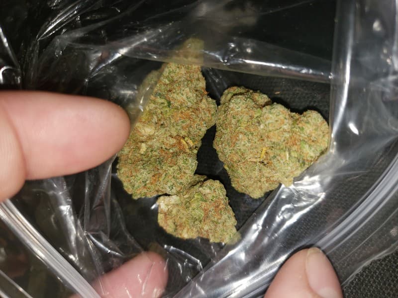 Glueball cannabis strain, community photo 1