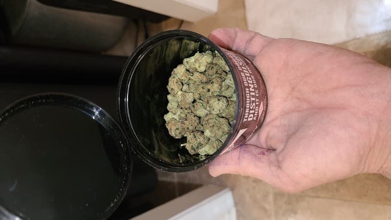 Glueball cannabis strain, community photo 2