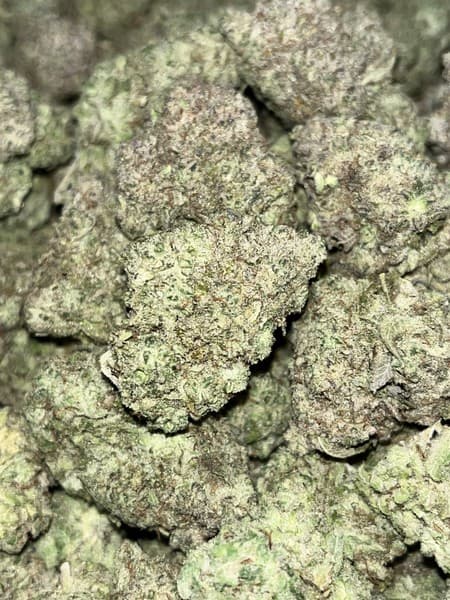 Glueball cannabis strain, community photo 5