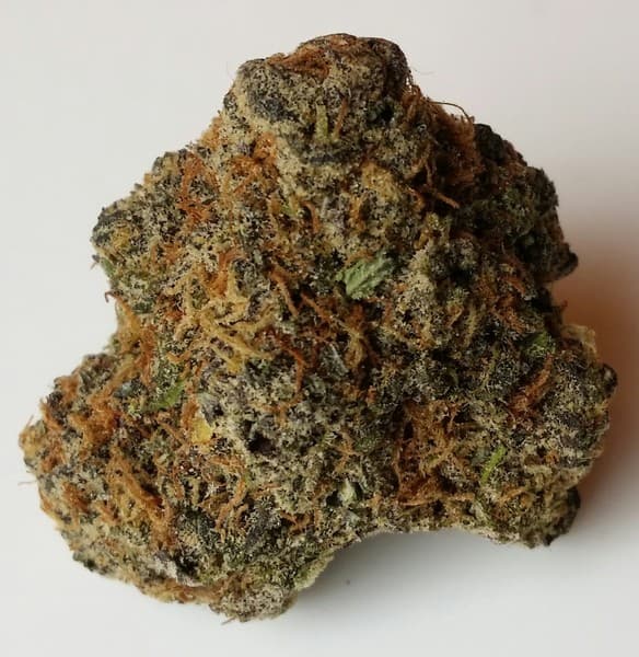 God's Gift cannabis strain, community photo 1