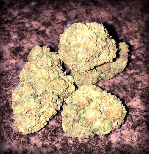 God's Gift cannabis strain, community photo 3