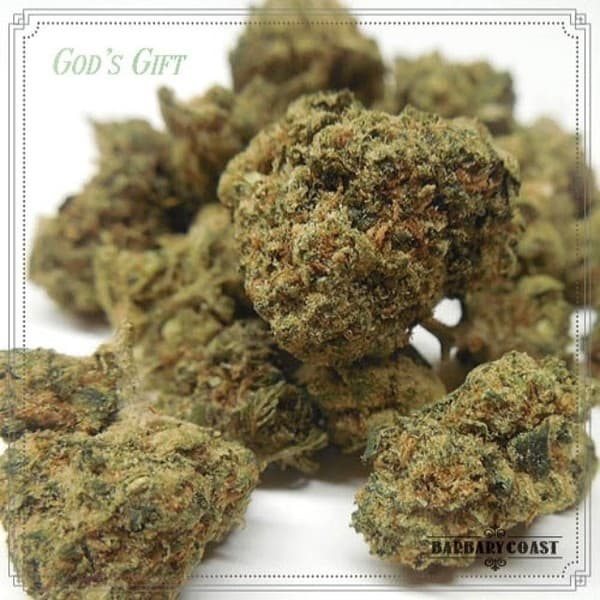 God's Gift cannabis strain, community photo 6