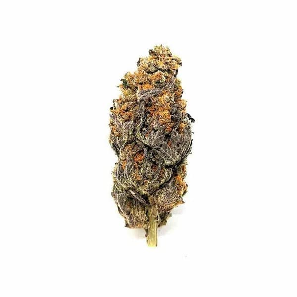 Godzilla cannabis strain, community photo 2