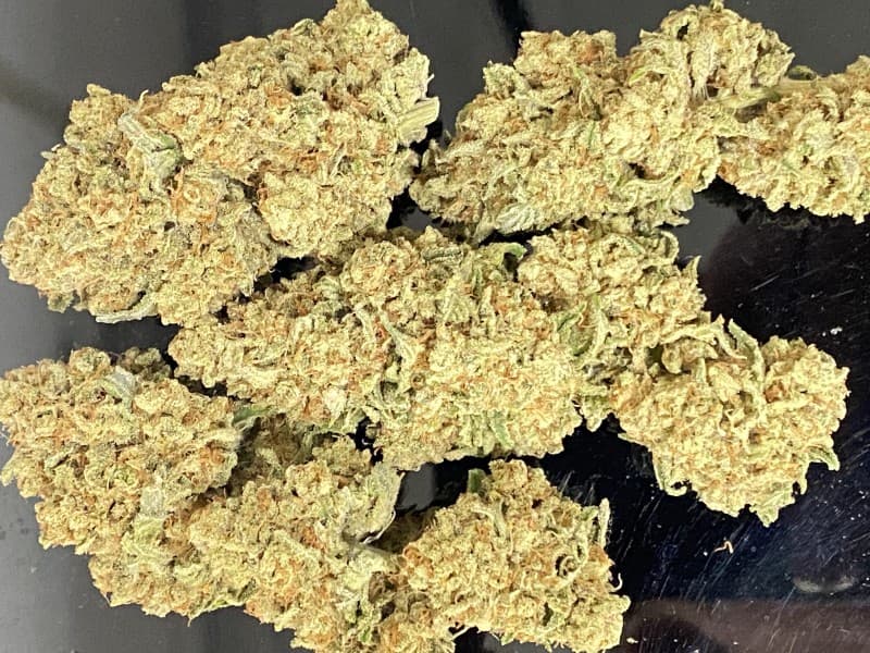 Godzilla cannabis strain, community photo 3