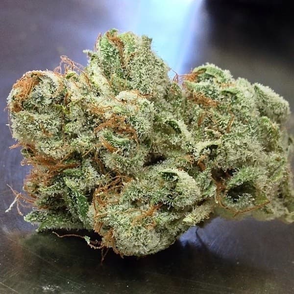 Goji OG cannabis strain, community photo 1