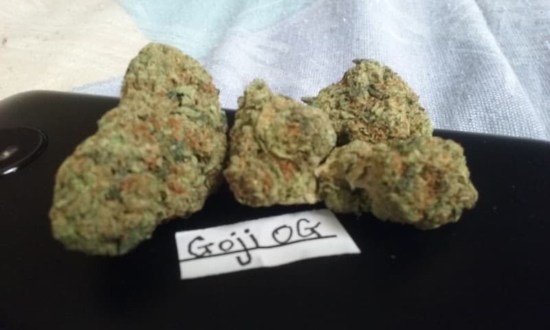 Goji OG cannabis strain, community photo 4