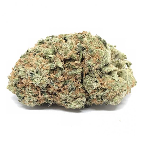 Golden Goat cannabis strain, community photo 1