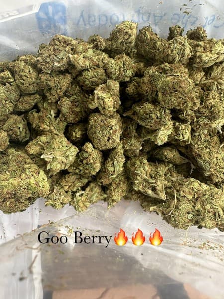 Gooberry cannabis strain, community photo 1