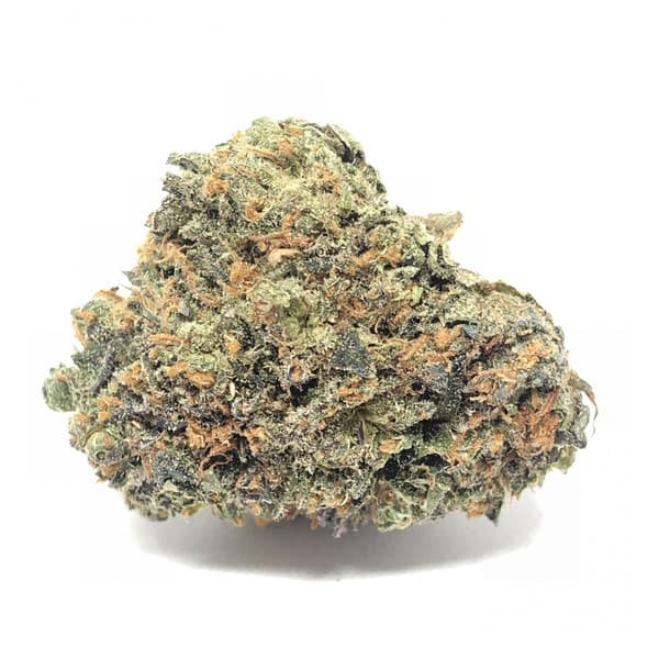 Gooberry cannabis strain, community photo 2