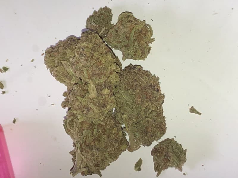 Grape Cake cannabis strain, community photo 2