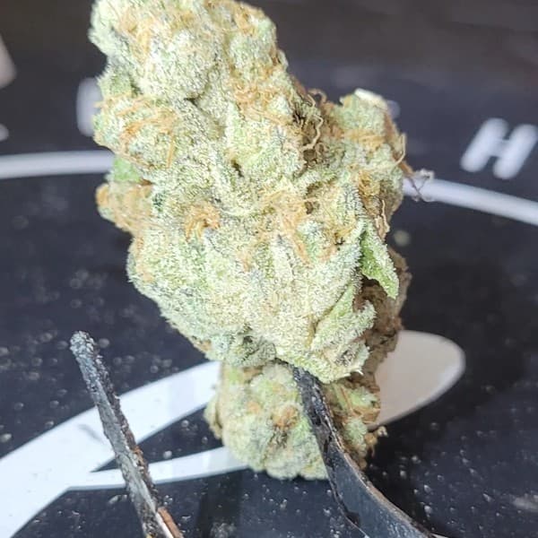 Grape Cake cannabis strain, community photo 4