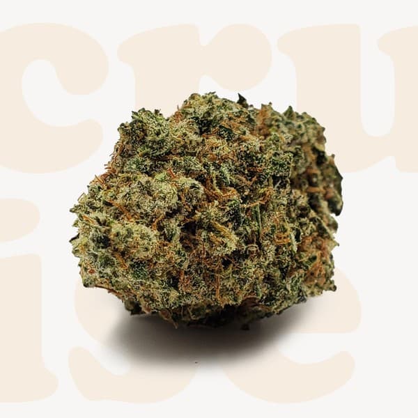 Grape God cannabis strain, community photo 1