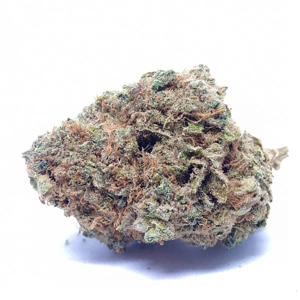 Grape God cannabis strain, community photo 2