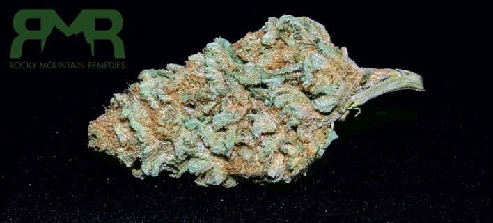 Grape God cannabis strain, community photo 5