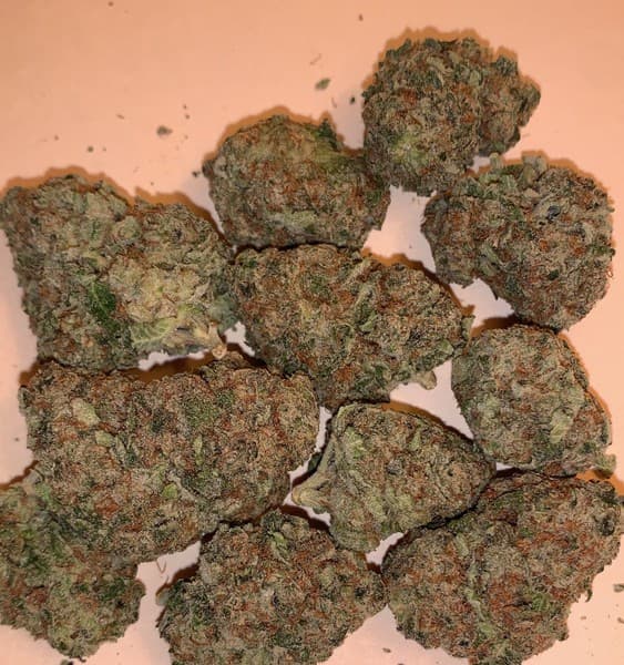 Grape Kush cannabis strain, community photo 1