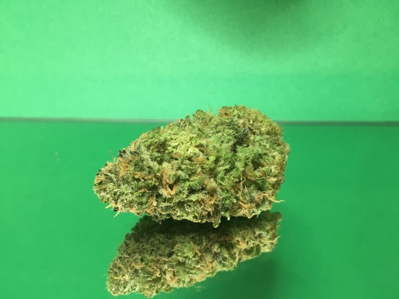 Grape Kush cannabis strain, community photo 2