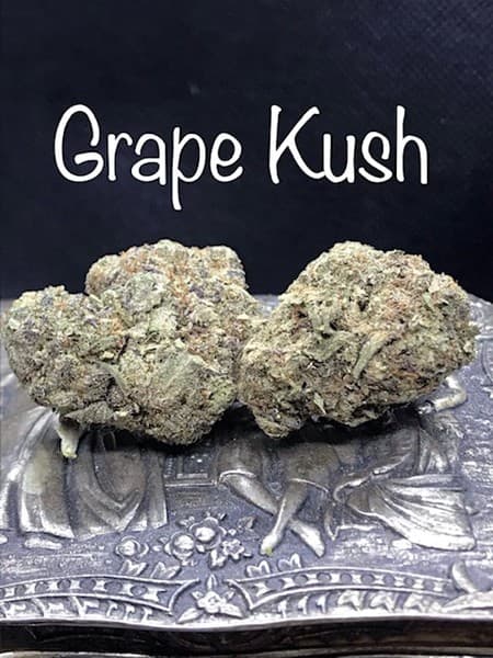 Grape Kush cannabis strain, community photo 3