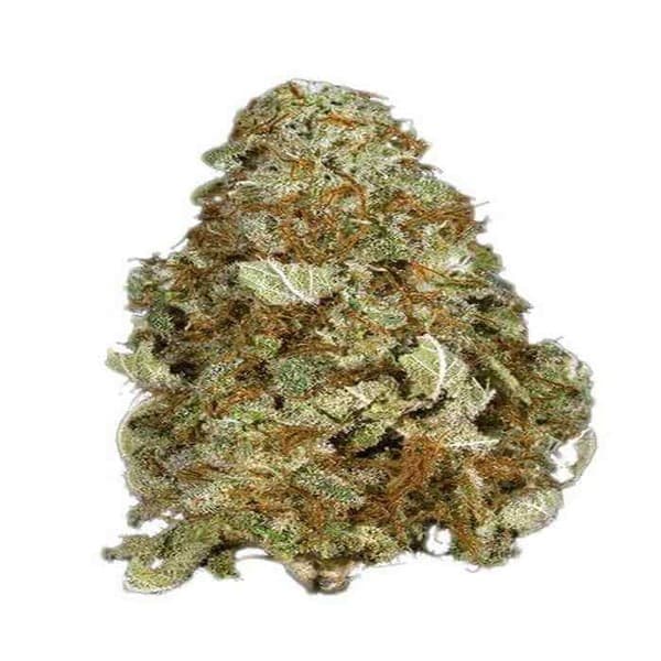 Grape Kush cannabis strain, community photo 5