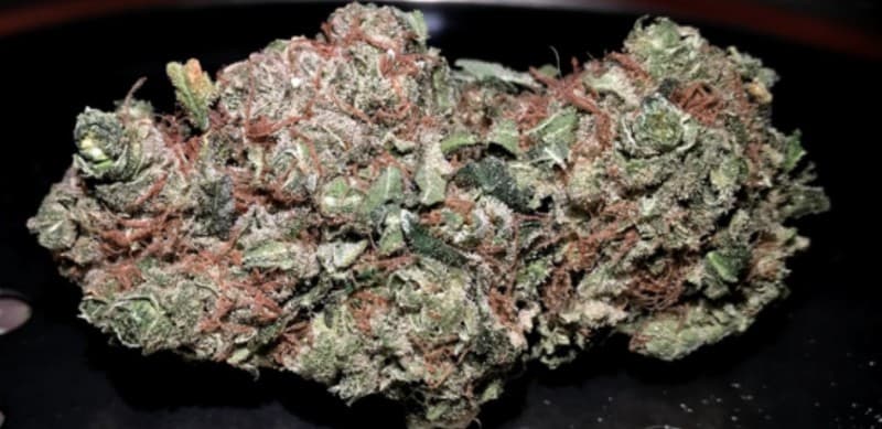 Grape Kush cannabis strain, community photo 6