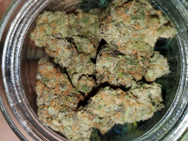 Grape Pie cannabis strain, community photo 1