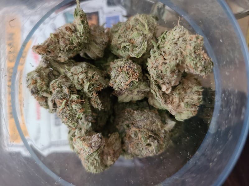 Grape Pie cannabis strain, community photo 3