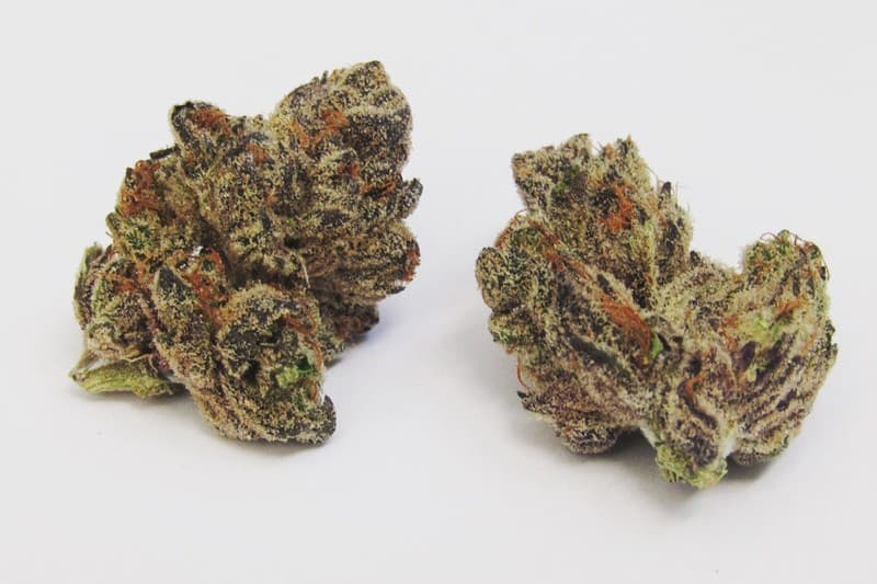Grape Pie cannabis strain, community photo 4
